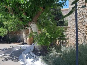 Fotografie z fotogalerie ubytování Villa Avli v destinaci Kardamili