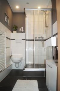 une salle de bain avec douche et toilettes dans l'établissement Ferienwohnung Auszeit, à Bad Kreuznach