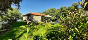 a garden with a building with chairs and trees at Casas de Mirão in Baião