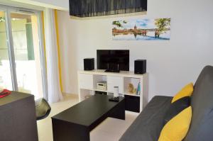 ein Wohnzimmer mit einem Sofa und einem TV in der Unterkunft Hortensias in Toulouse
