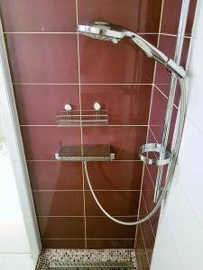 圖盧茲的住宿－Hortensias，浴室设有红色瓷砖墙,配有淋浴。