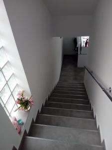 una escalera en un edificio con un jarrón de flores en Villa Centrum, en Gdansk