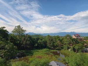 a view of a forest with mountains in the background at Hotel Rhinoceros-Homestay in Sauraha