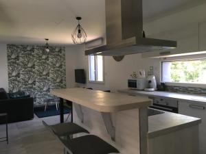 a kitchen with a large island in a room at Au Jardin de Lina in Lapoutroie