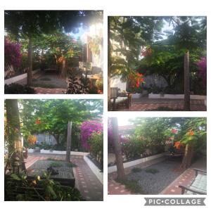 Vonkajšia záhrada v ubytovaní Heavens Garden House