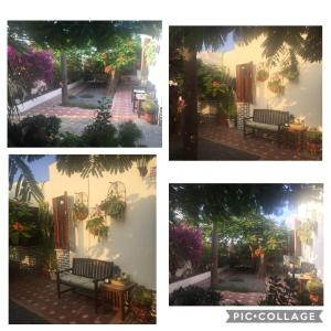 Vonkajšia záhrada v ubytovaní Heavens Garden House