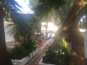 Vonkajšia záhrada v ubytovaní Heavens Garden House