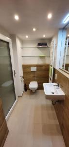 ein Bad mit einem WC und einem Waschbecken in der Unterkunft Welcome Apartment Cölbe in Cölbe