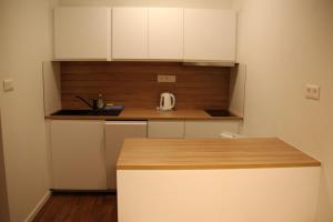 Kuchyňa alebo kuchynka v ubytovaní Apartmán Alpinka, Chopok Juh