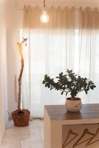 Fotografie z fotogalerie ubytování Casa d'aMare v destinaci Trani