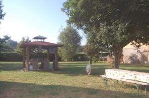 a sheep grazing in a park with a gazebo and a bench at Fattoria Antognoni in Reggello