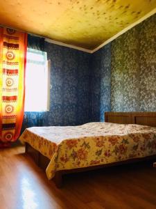 a bedroom with a bed and a window at Guesthouse Tanano/Dodo in Zhabeshi