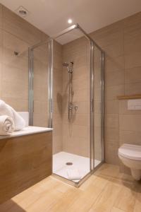 ein Bad mit einer Dusche und einem WC in der Unterkunft Hotel Kieffer in Itterswiller