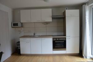 Kuchyň nebo kuchyňský kout v ubytování Apartmaji Gaby