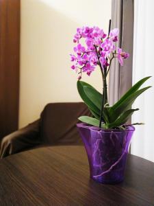 リヴィウにあるЦентр Свободиの紫花瓶