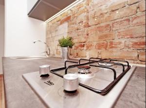 piekarnik z płytą kuchenną na blacie kuchennym w obiekcie COCO Apartments Gdańsk Centrum Górka w Gdańsku