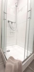 y baño con ducha y puerta de cristal. en H-Apartment 1 en Triberg