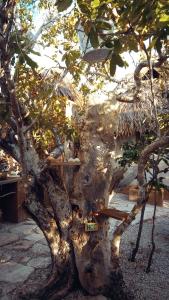 Φωτογραφία από το άλμπουμ του Rumah Pampa at Pachamama στη Nembrala