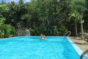 The swimming pool at or close to Jungle Boss Homestay