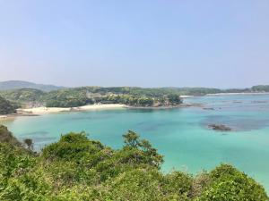 a view of a beach with trees and the ocean at Tsushima White House in Tsushima