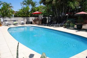 a large blue swimming pool with chairs and umbrellas at Sunseeker Motel in Hervey Bay