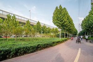 uma rua com árvores ao lado de um edifício em Henan Zhengzhou·Garden Road· em Zhengzhou