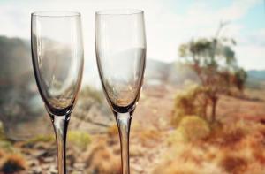 two empty wine glasses sitting next to each other at Pichi Richi Park in Quorn