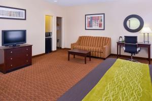 En tv och/eller ett underhållningssystem på Comfort Inn and Suites Joplin