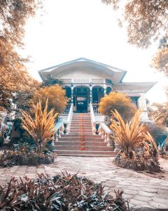 ein Haus mit einer Treppe, die zur Eingangstür führt in der Unterkunft Oasis Balili Heritage Lodge in Tagbilaran
