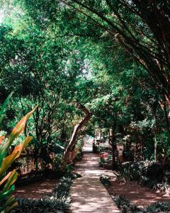 ścieżka wysadzana drzewami w parku z drzewami w obiekcie Oasis Balili Heritage Lodge w mieście Tagbilaran