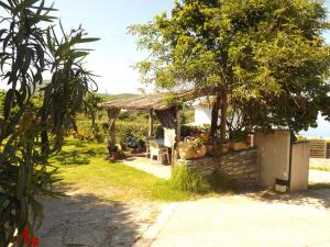 a small shed with a table and a tree at Chambre d hôtes chez raymonde et sandrine in Luri +13 photos