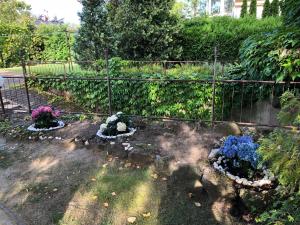 Vonkajšia záhrada v ubytovaní Veranda Apartman