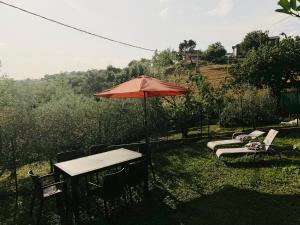 a table and chairs with an umbrella in the grass at casa vacanze il gelsomino in Nocera Umbra