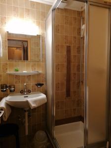 Koupelna v ubytování Petit Helvetia Budget Hotel