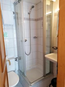 a bathroom with a shower and a toilet and a sink at Petit Helvetia Budget Hotel in Zermatt