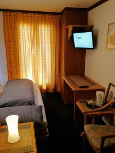 TV a/nebo společenská místnost v ubytování Petit Helvetia Budget Hotel