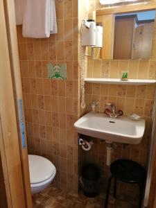 Koupelna v ubytování Petit Helvetia Budget Hotel