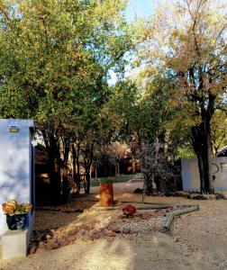 a park with trees and a fire hydrant at Off Beat Safaris Bush Lodge in Hoedspruit