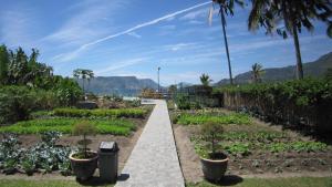un jardin avec des plantes et une passerelle dans l'établissement Horas Family Home, à Tuk Tuk