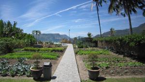 un jardín con plantas y una pasarela en Horas Family Home, en Tuk Tuk