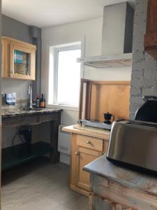 cocina con fregadero y encimera en Suite 1, Flèche du fjord, vue Saguenay, Mont Valin, en Saint-Fulgence