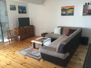 a living room with a couch and a tv at Apartment Luna in Ulcinj