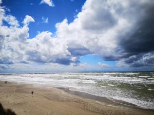 Billede fra billedgalleriet på Rėzos Apartments i Juodkrantė