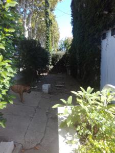 Fotografie z fotogalerie ubytování agnës v destinaci Limoux