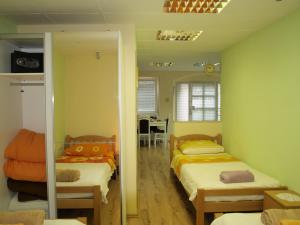 Televízia a/alebo spoločenská miestnosť v ubytovaní Apartment Skeja