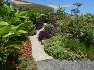 Ogród w obiekcie El Susurro Ecoliving_VILLA PARDELA