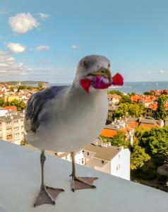 un uccello che si erge sul cornicione di un edificio di Pokoje przy plaży z widokiem na morze a Sopot