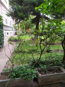 een tuin met een kleine boom in een tuin bij Apartment Andreas in Bolzano
