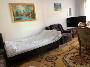 um quarto com uma cama, uma cadeira e uma televisão em Casa Ani em Borşa
