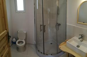 a bathroom with a shower and a toilet and a sink at Domek na Berechu Domek w Górach-Pieniny in Szlachtowa +49 photos